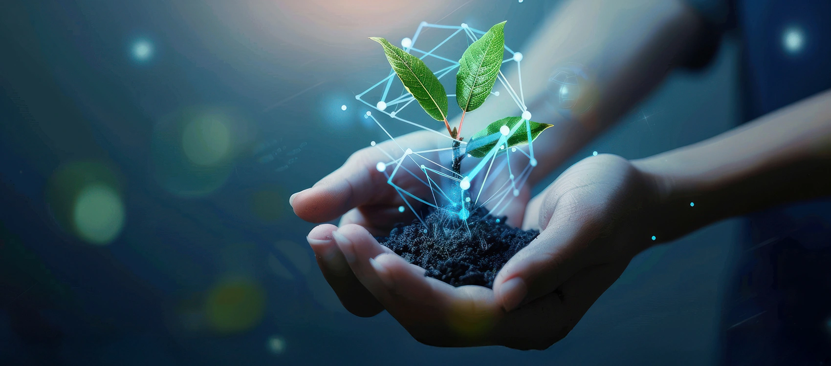 Experience & Expertise